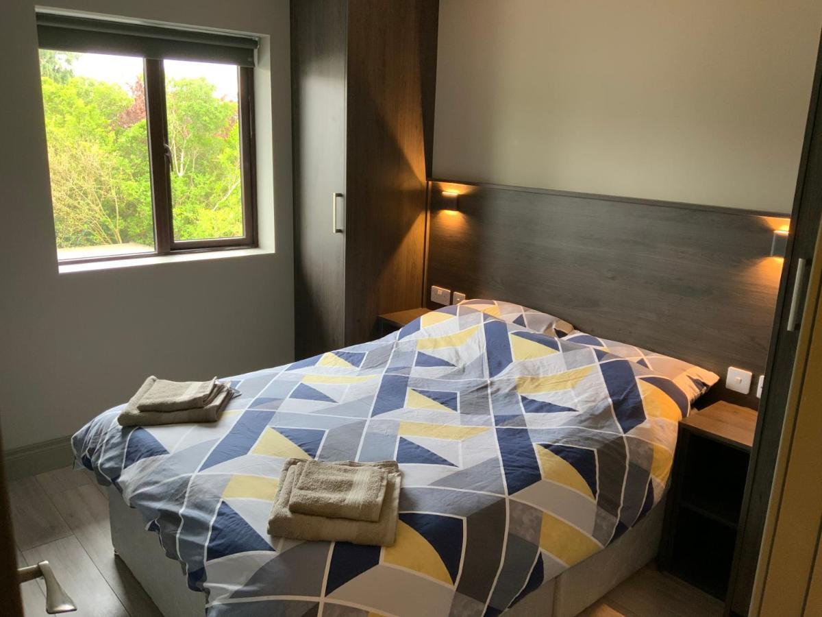 Small,Smart,Tidy 2 Bed Apartment غالواي المظهر الخارجي الصورة